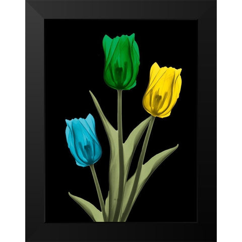 Jeweled Tulip Trio 4 Black Modern Wood Framed Art Print by Koetsier, Albert