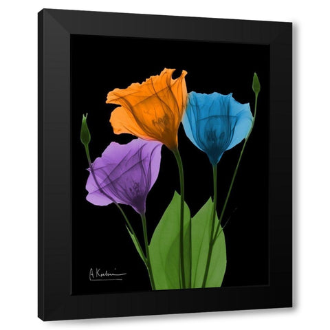 Jewel Gentian Buddies 3 Black Modern Wood Framed Art Print by Koetsier, Albert