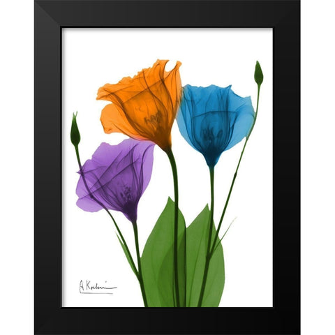 Jewel Gentian Buddies 1 Black Modern Wood Framed Art Print by Koetsier, Albert