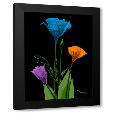 Jewel Gentian Buddies 4 Black Modern Wood Framed Art Print by Koetsier, Albert