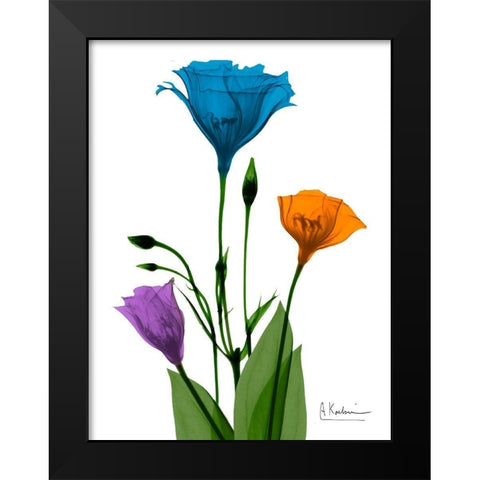 Jewel Gentian Buddies 2 Black Modern Wood Framed Art Print by Koetsier, Albert