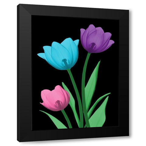 Shiny Tulips 3 Black Modern Wood Framed Art Print with Double Matting by Koetsier, Albert