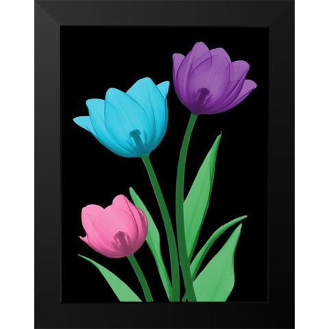 Shiny Tulips 3 Black Modern Wood Framed Art Print by Koetsier, Albert