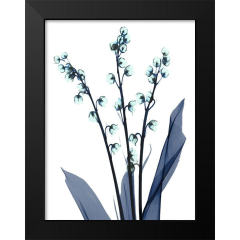 Midnight Oasis 2 Black Modern Wood Framed Art Print by Koetsier, Albert