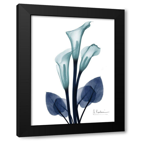 Midnight Calla Lily 1 Black Modern Wood Framed Art Print with Double Matting by Koetsier, Albert