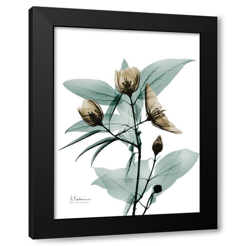 Sandy Growth 1 Black Modern Wood Framed Art Print by Koetsier, Albert