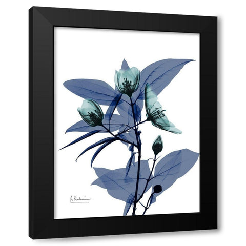 Mindnight Beautiful Growth 1 Black Modern Wood Framed Art Print with Double Matting by Koetsier, Albert