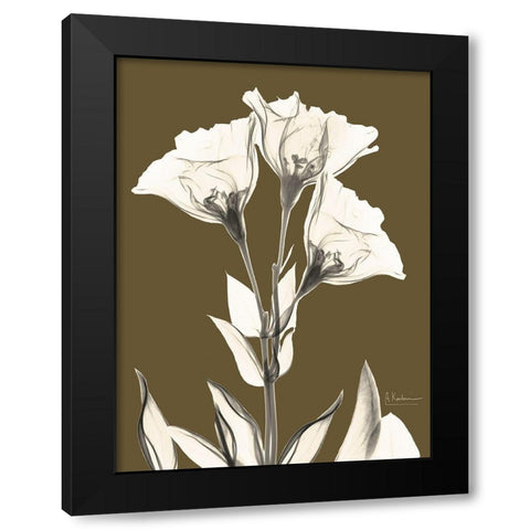 Gentian Fall Black Modern Wood Framed Art Print by Koetsier, Albert