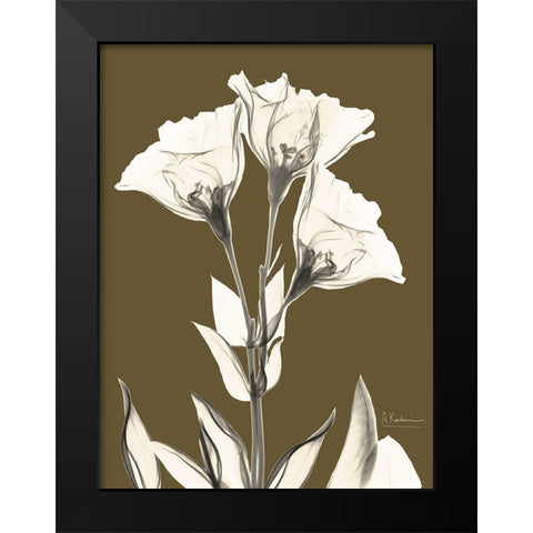 Gentian Fall Black Modern Wood Framed Art Print by Koetsier, Albert