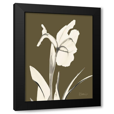 Iris Fall Black Modern Wood Framed Art Print by Koetsier, Albert