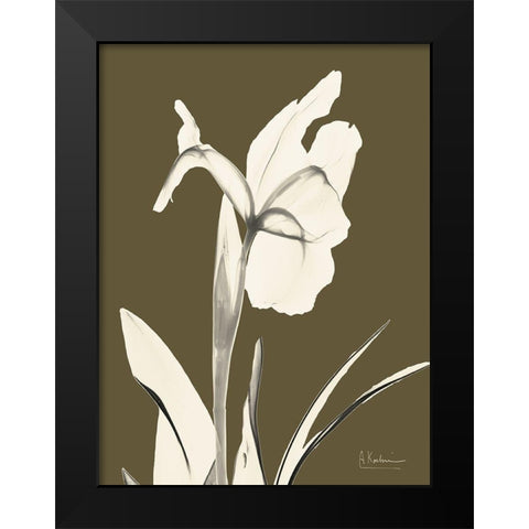 Iris Fall Black Modern Wood Framed Art Print by Koetsier, Albert