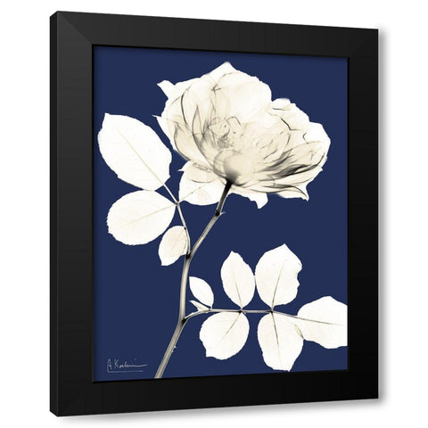 Rose Cool Dynasty 1 Black Modern Wood Framed Art Print with Double Matting by Koetsier, Albert