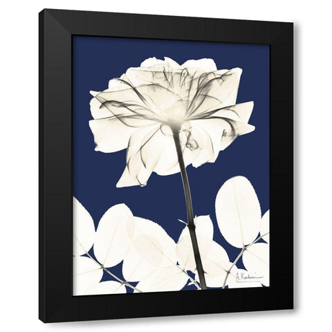 Rose Cool Dynasty 2 Black Modern Wood Framed Art Print with Double Matting by Koetsier, Albert