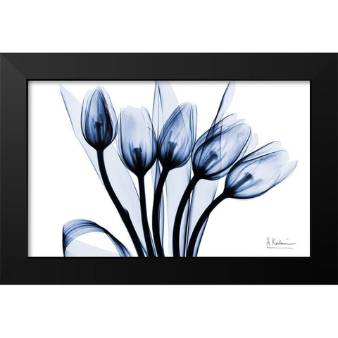 Marvelous Indigo Tulips 2 Black Modern Wood Framed Art Print by Koetsier, Albert