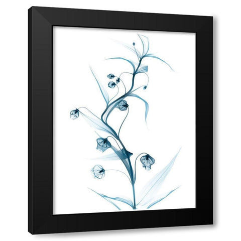 Blue Globe Lily Black Modern Wood Framed Art Print by Koetsier, Albert