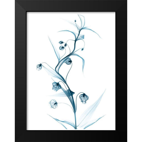 Blue Globe Lily Black Modern Wood Framed Art Print by Koetsier, Albert