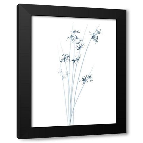 Light Sky Reachers Black Modern Wood Framed Art Print with Double Matting by Koetsier, Albert