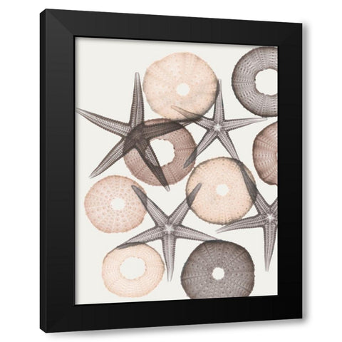 Earth Toned Pythagoras 2 Black Modern Wood Framed Art Print by Koetsier, Albert