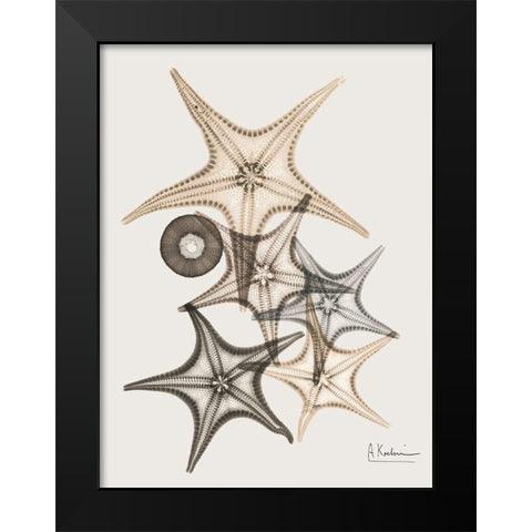 Sand Starfish 3 Black Modern Wood Framed Art Print by Koetsier, Albert