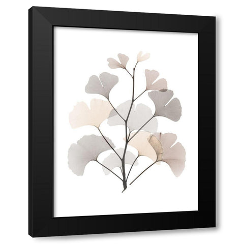 Desert Ginko Black Modern Wood Framed Art Print with Double Matting by Koetsier, Albert