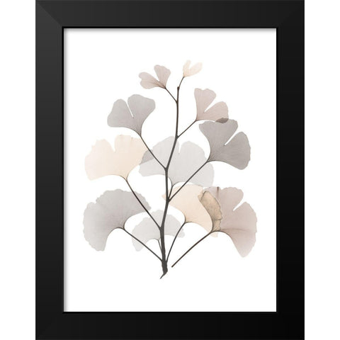 Desert Ginko Black Modern Wood Framed Art Print by Koetsier, Albert