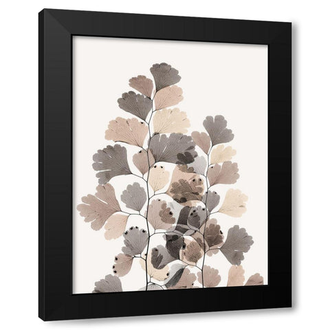 Earthy Maidenhair Fern Black Modern Wood Framed Art Print by Koetsier, Albert