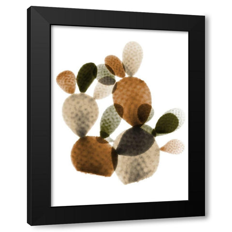 Urban Cactus Bunch 1 Black Modern Wood Framed Art Print with Double Matting by Koetsier, Albert