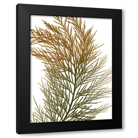 Urban Incense Cedar Black Modern Wood Framed Art Print by Koetsier, Albert