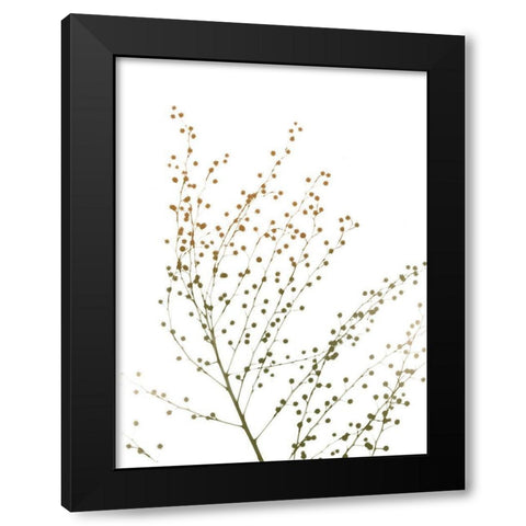 Urban And Delicate Black Modern Wood Framed Art Print with Double Matting by Koetsier, Albert