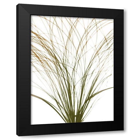 Urban Frayed Soul Black Modern Wood Framed Art Print with Double Matting by Koetsier, Albert