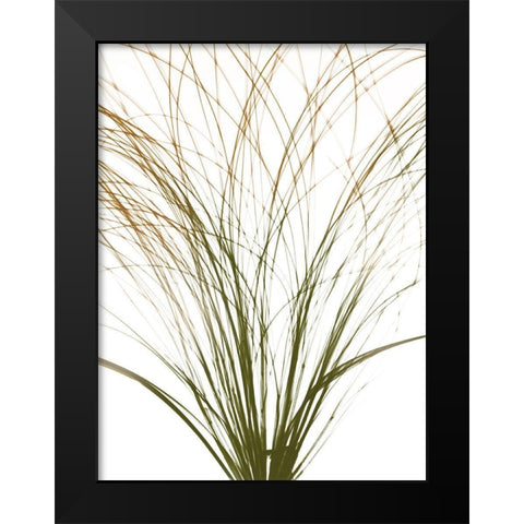 Urban Frayed Soul Black Modern Wood Framed Art Print by Koetsier, Albert