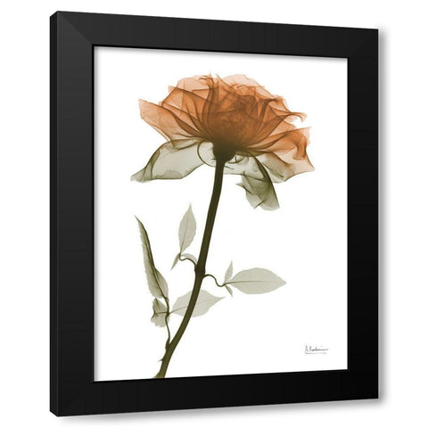 Urban Rose 1 Black Modern Wood Framed Art Print with Double Matting by Koetsier, Albert