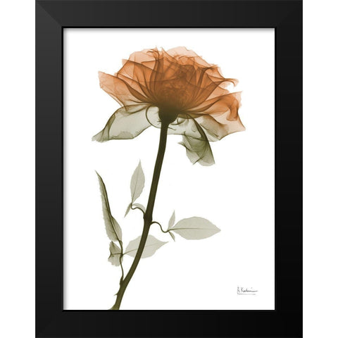 Urban Rose 1 Black Modern Wood Framed Art Print by Koetsier, Albert