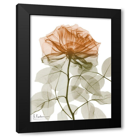 Urban Jungle Rose 1 Black Modern Wood Framed Art Print with Double Matting by Koetsier, Albert