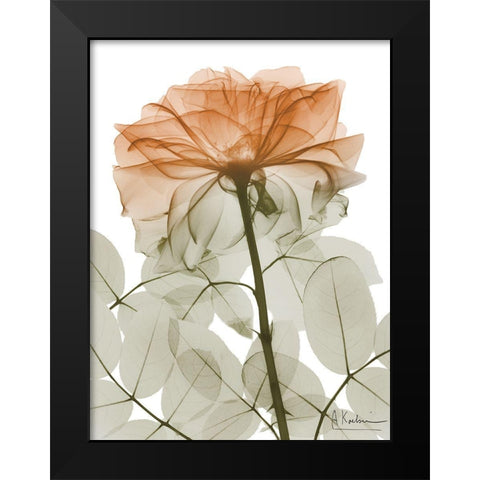 Urban Jungle Rose 2 Black Modern Wood Framed Art Print by Koetsier, Albert