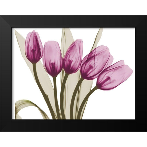 Vibrant Marching Tulips Black Modern Wood Framed Art Print by Koetsier, Albert