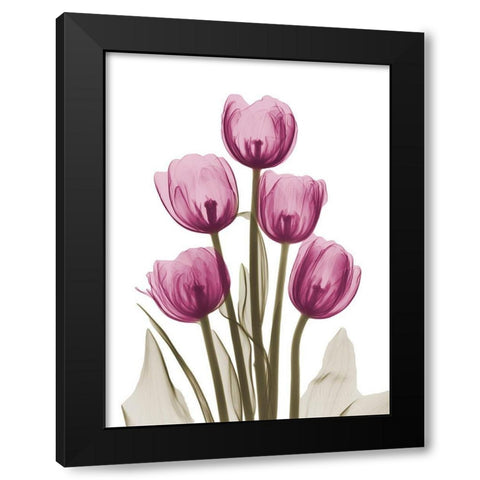 Vibrant Tulip Tower Black Modern Wood Framed Art Print with Double Matting by Koetsier, Albert
