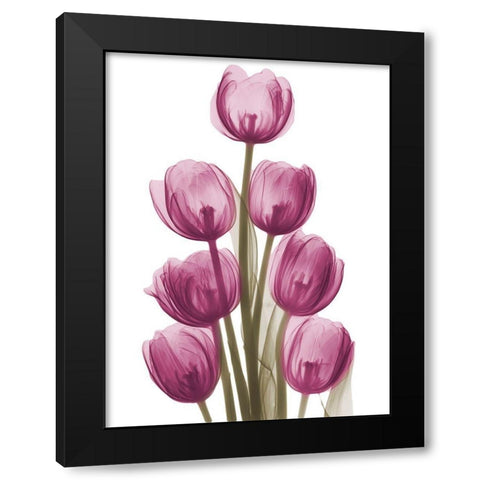 Vibrant Tulip Tower Black Modern Wood Framed Art Print with Double Matting by Koetsier, Albert