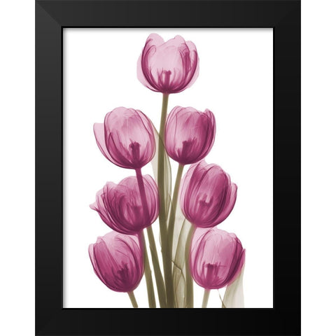 Vibrant Tulip Tower Black Modern Wood Framed Art Print by Koetsier, Albert