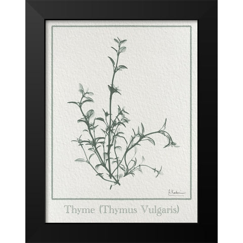 Thymus Vulgaris 2 Black Modern Wood Framed Art Print by Koetsier, Albert