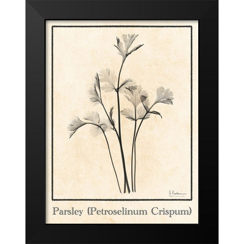 Parsley Black Modern Wood Framed Art Print by Koetsier, Albert