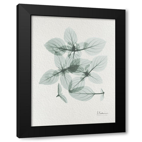 Basil Ocimum Basilicum 2 Black Modern Wood Framed Art Print with Double Matting by Koetsier, Albert