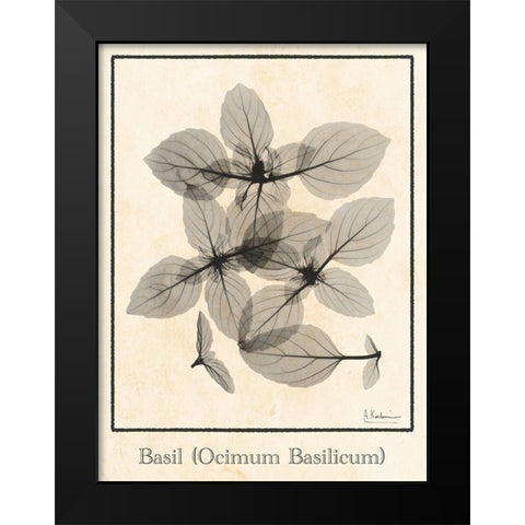Basil Ocimum Basilicum Black Modern Wood Framed Art Print by Koetsier, Albert