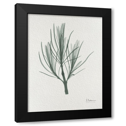 Rosemary 2 Black Modern Wood Framed Art Print with Double Matting by Koetsier, Albert