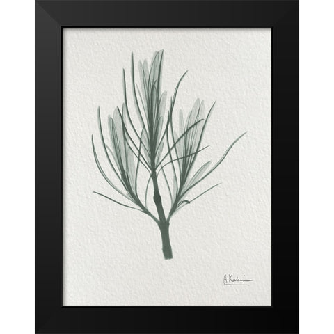 Rosemary 2 Black Modern Wood Framed Art Print by Koetsier, Albert