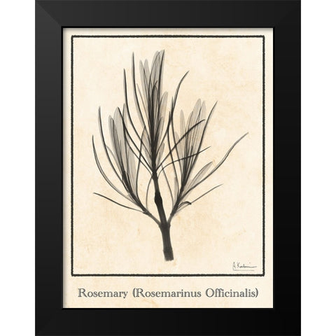 Rosemary Black Modern Wood Framed Art Print by Koetsier, Albert