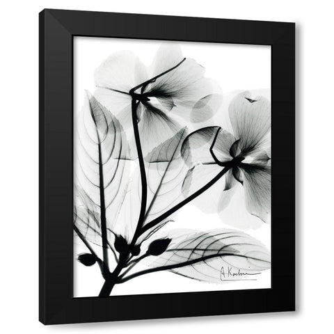 Impatient Growth Black Modern Wood Framed Art Print by Koetsier, Albert