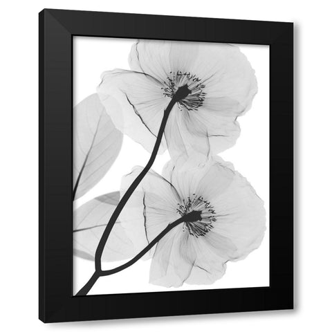 Kinetic Translation Black Modern Wood Framed Art Print with Double Matting by Koetsier, Albert