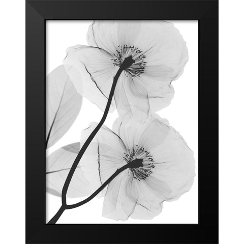 Kinetic Translation Black Modern Wood Framed Art Print by Koetsier, Albert