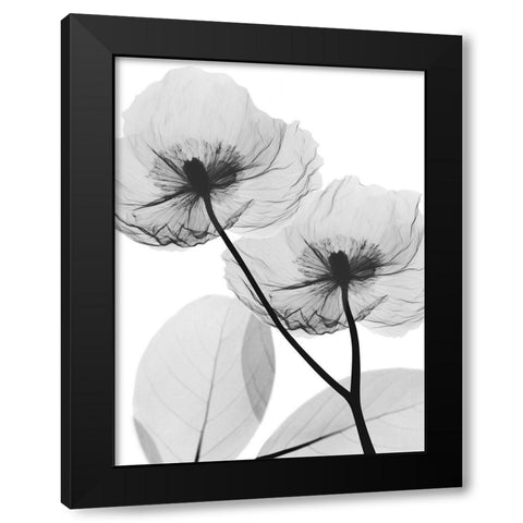 Kinetic Translation 2 Black Modern Wood Framed Art Print with Double Matting by Koetsier, Albert